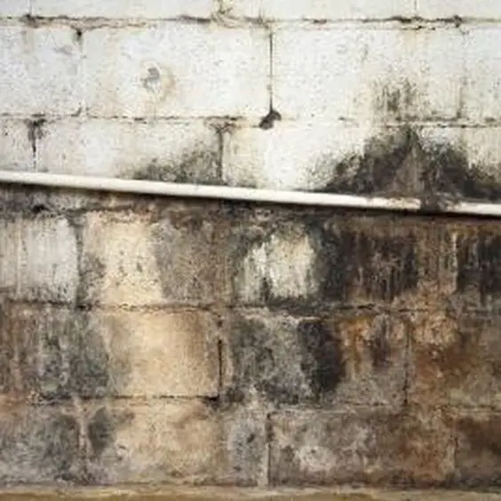 How to Clean Mold Off Basement Concrete Walls