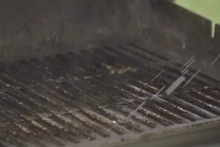 How to Clean Mold Off Grill