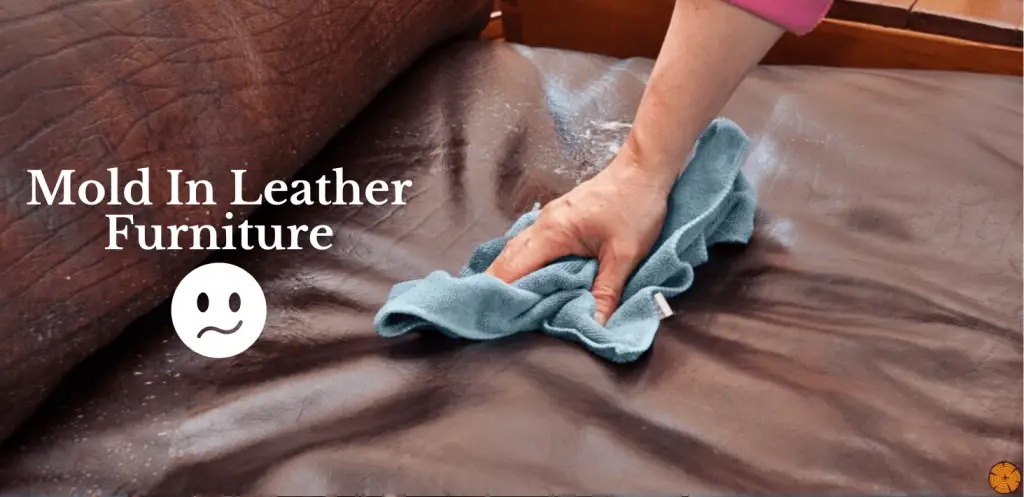 How to Clean Mold off Leather Furniture
