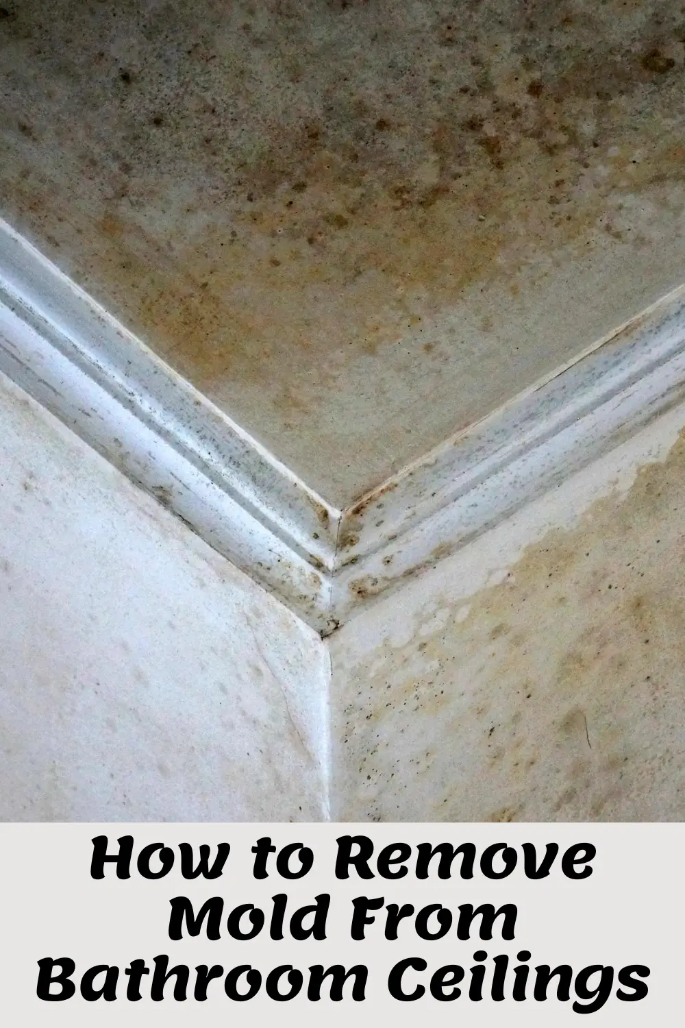 How To Clean Mold Off Of Bathroom Ceiling