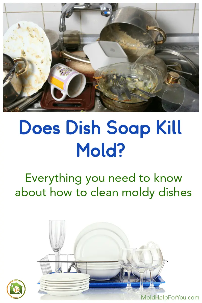 How To Clean Mold On Dishes