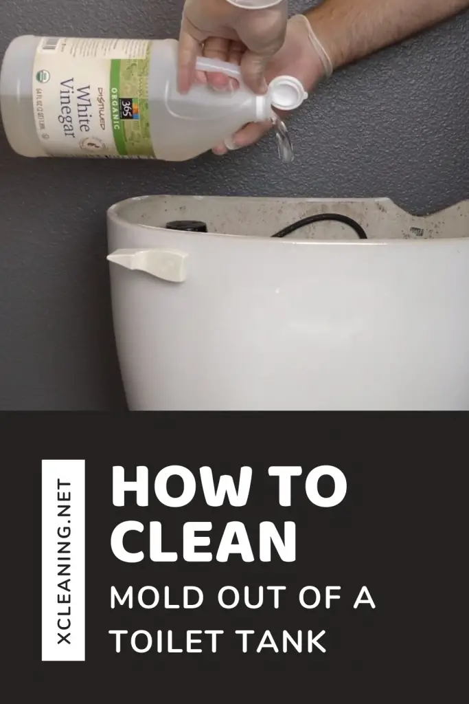 How To Clean Mold Out Of A Toilet Tank