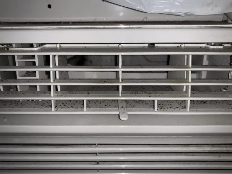 How To Clean Mold Out Of Ac Unit