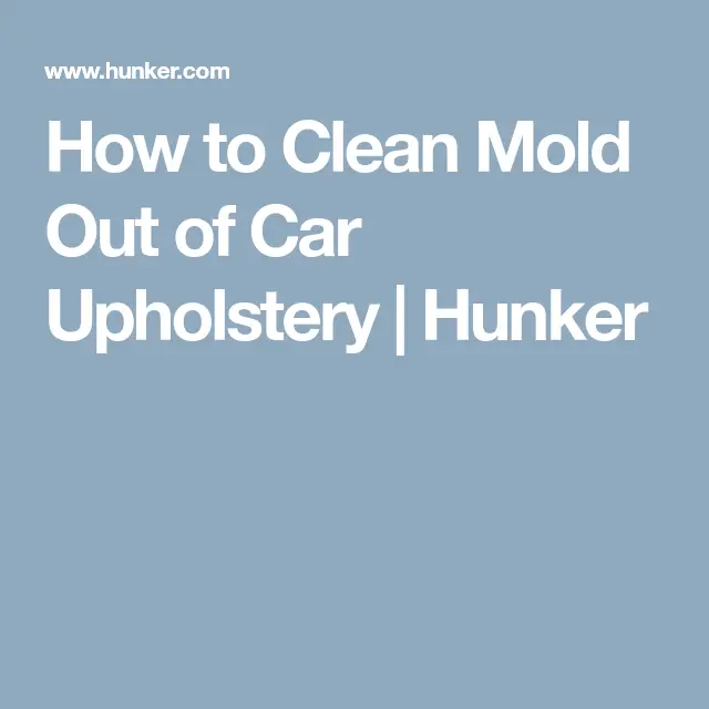 How To Clean Mold Out Of Your Car