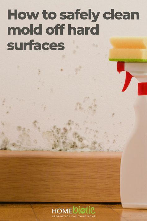 How to clean mold safely off hard surfaces: Spray or wipe ...