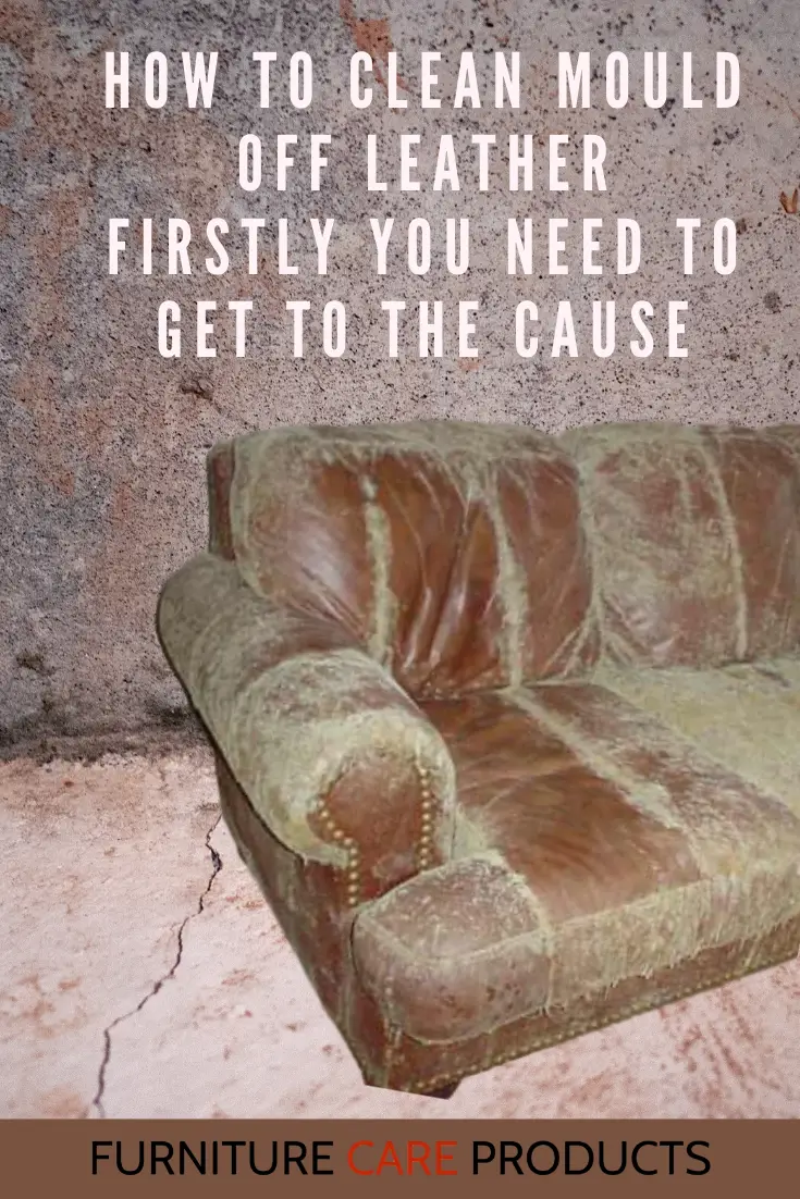How To Clean Mould Off Leather Firstly You To Get To The Cause ...