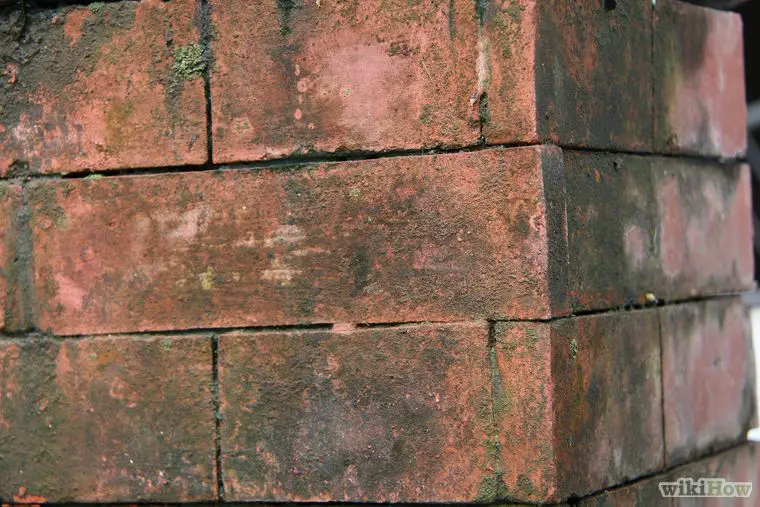 How To Clean Pavers With Mold
