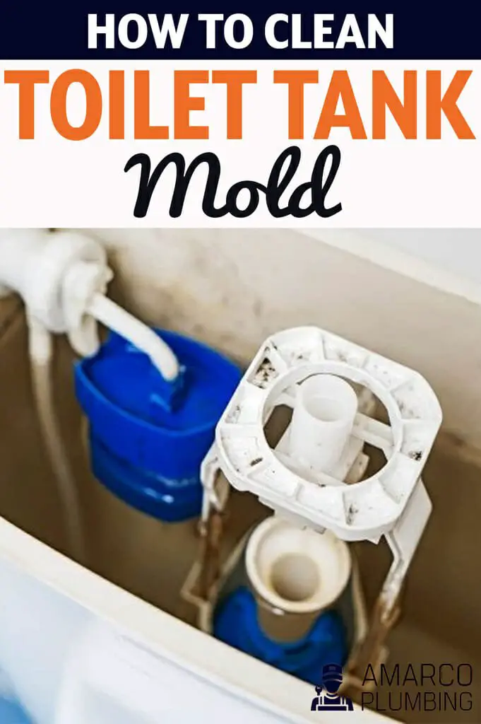 How to Clean Toilet Tank Mold