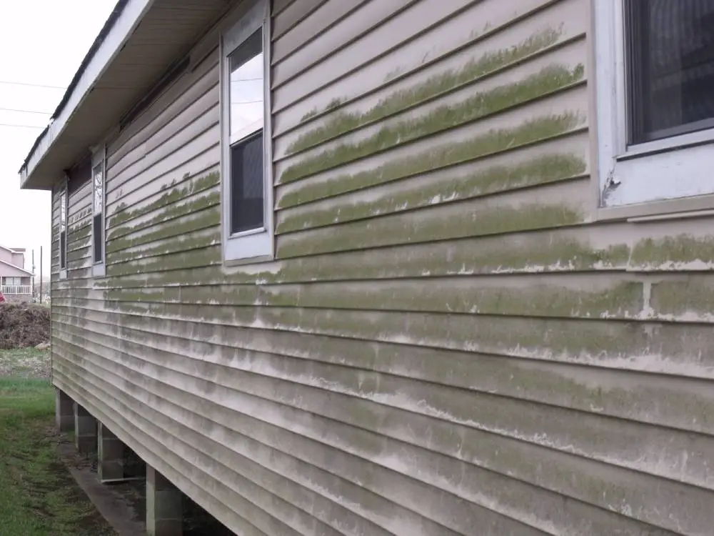 How To Clean Your Vinyl Siding  Labor Intensive To Say ...