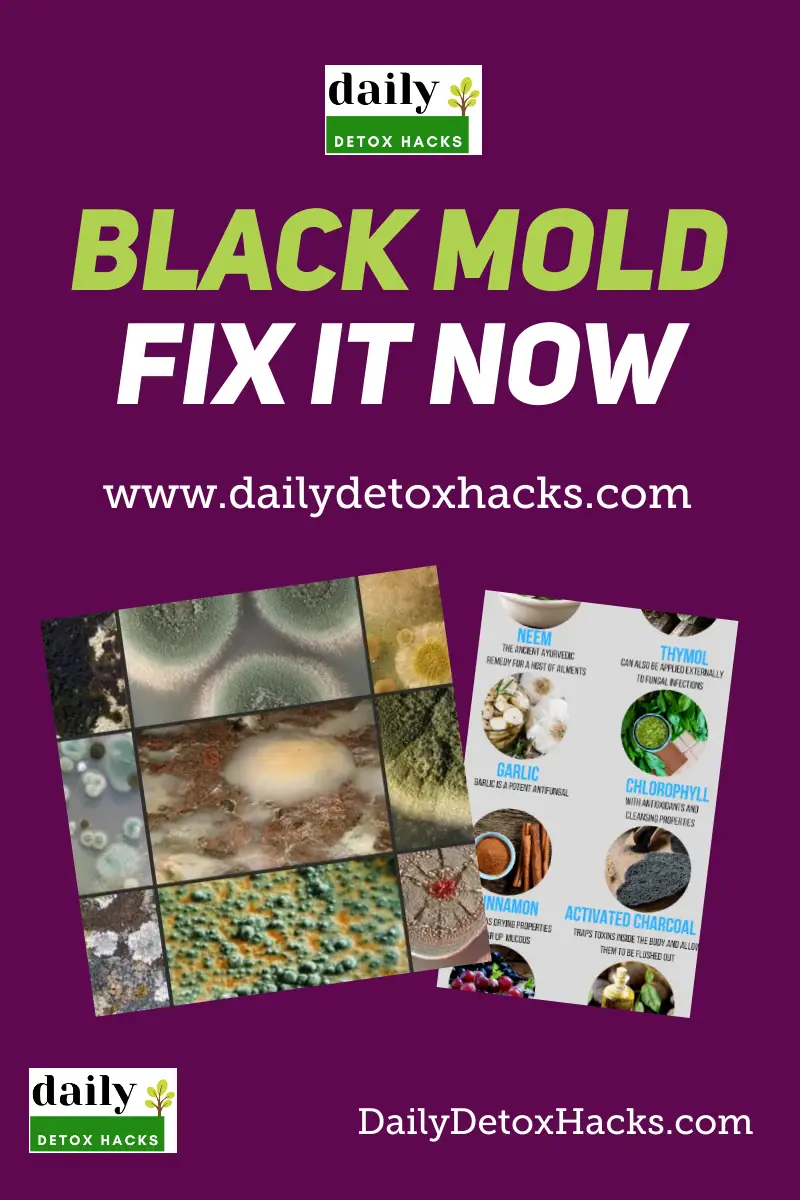 How To Cure And Detox Your Body From Black Mold Poison ...