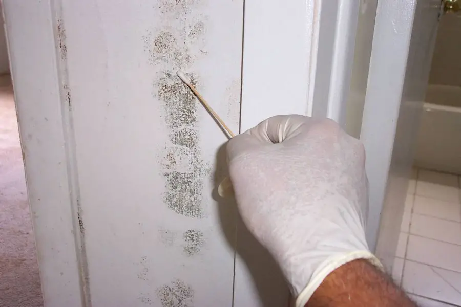 How to Detect Household Mould