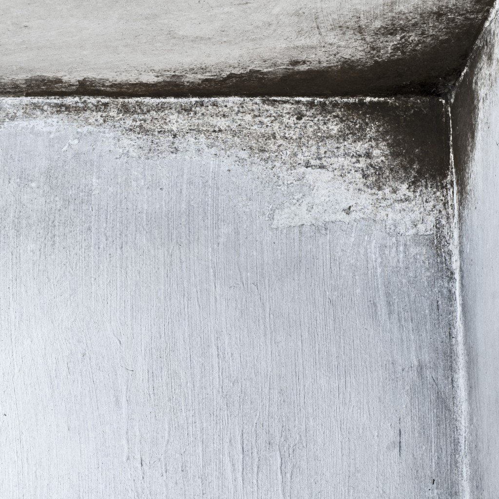 How to Detect Mold Inside Walls