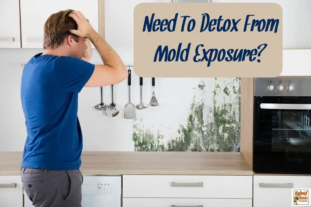 How To Detox Your Body From Mold (What I Did)