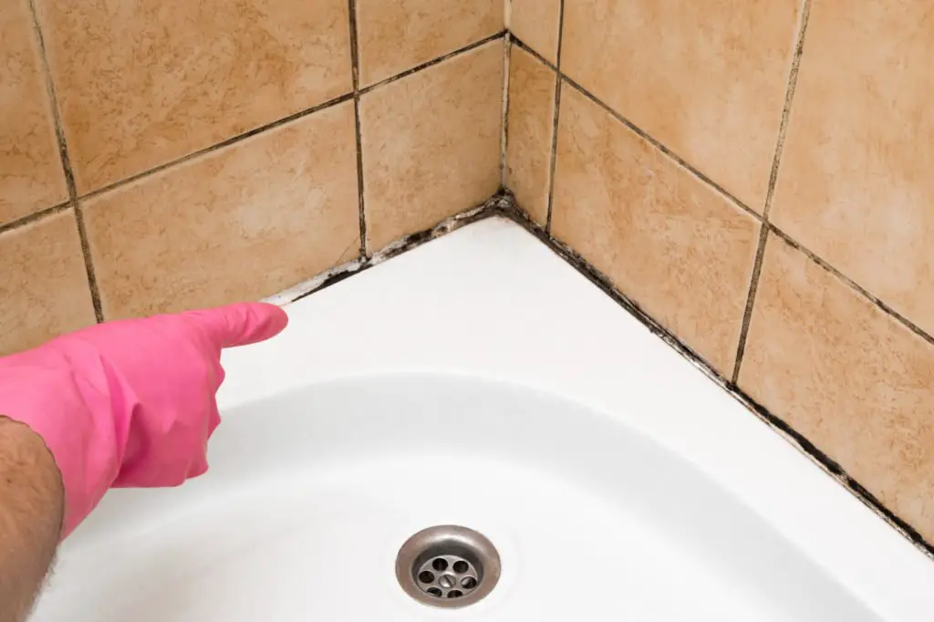 How to Find Hidden Mold in Your House and Get Rid of it ...