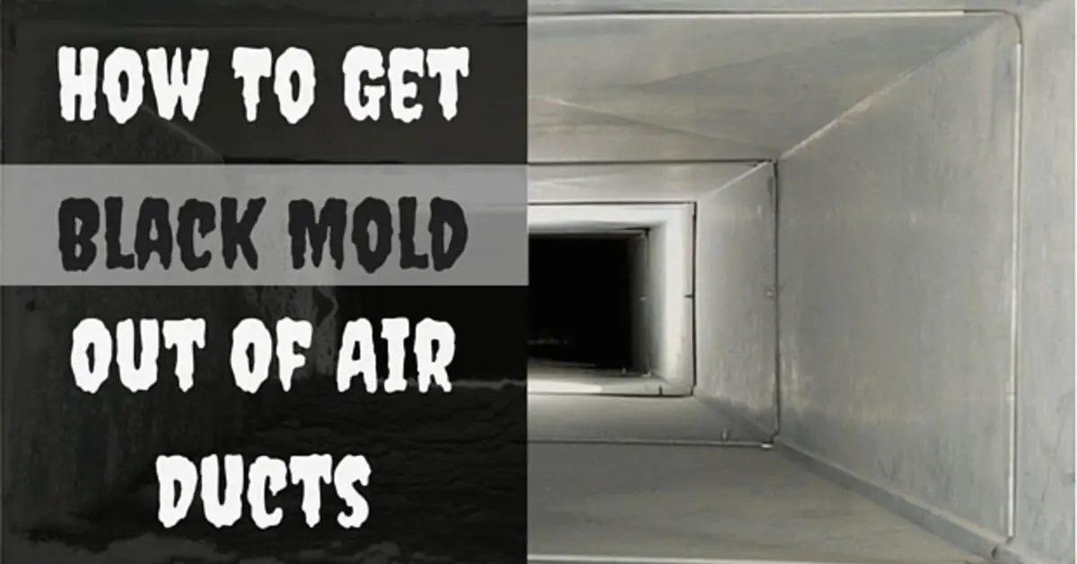 How To Get Black Mold Out Of Air Ducts