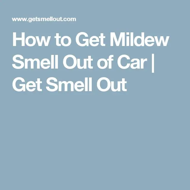 How to Get Mildew Smell Out of Car
