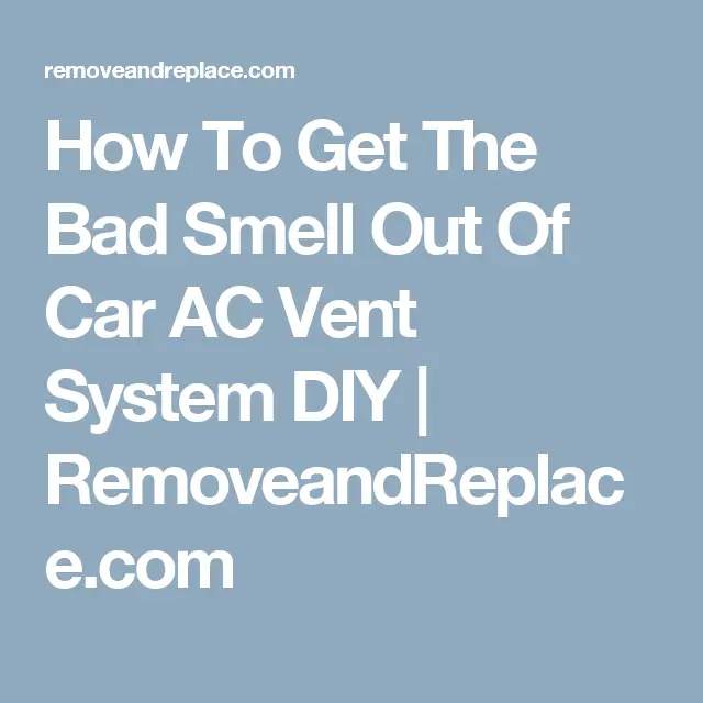 How To Get Mildew Smell Out Of Car Vents : Carpet Mould In Car ...