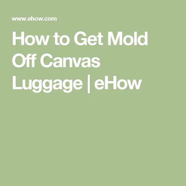 How to Get Mold Off Canvas Luggage