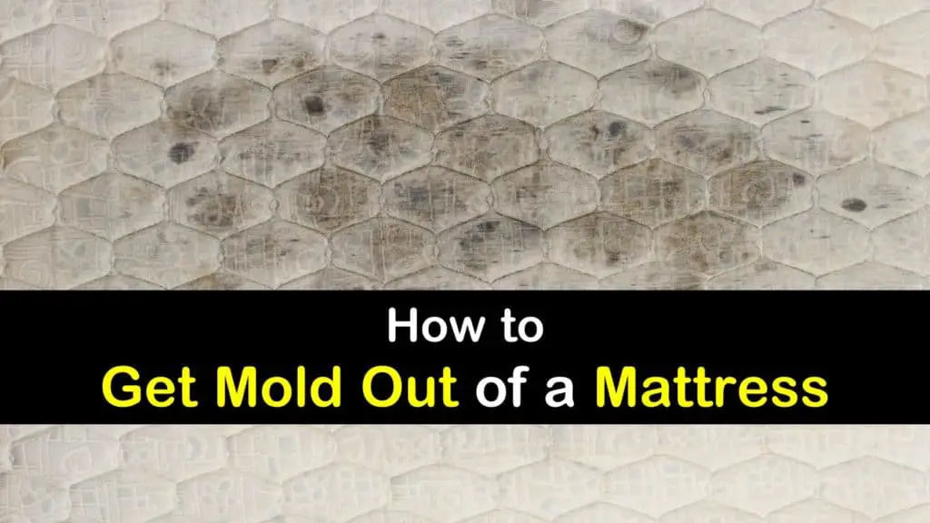 How to Get Mold Out of a Mattress
