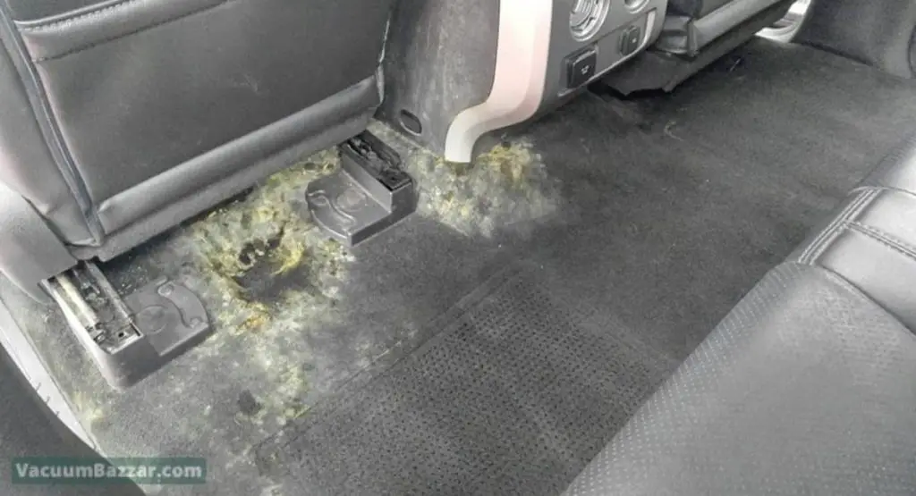 How to Get Mold Out of Carpet in Car