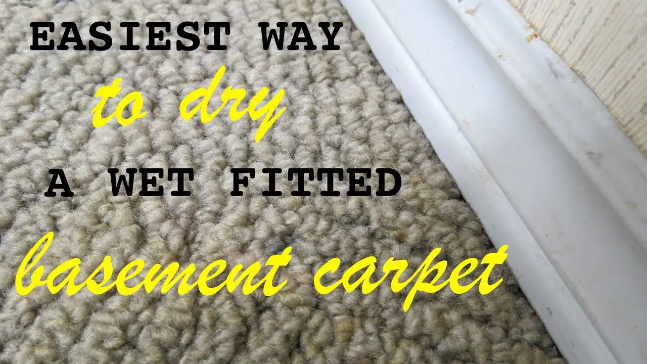 How To Get Mold Out Of Carpet Padding