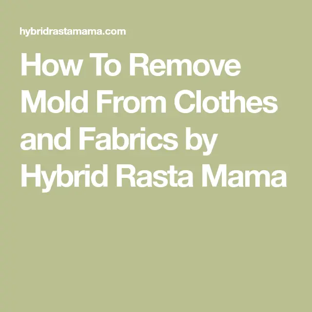 How To Get Mold Out Of Clothes and Fabrics