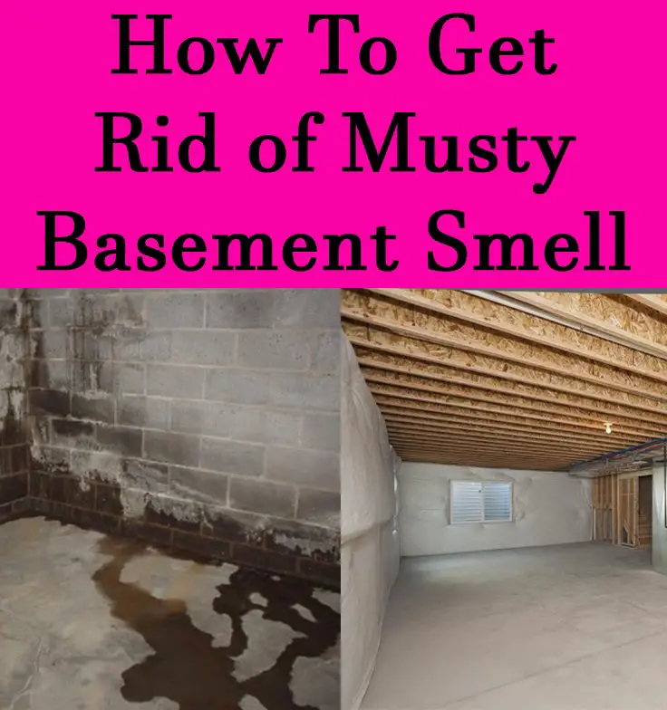 How to get musty smell out of basement
