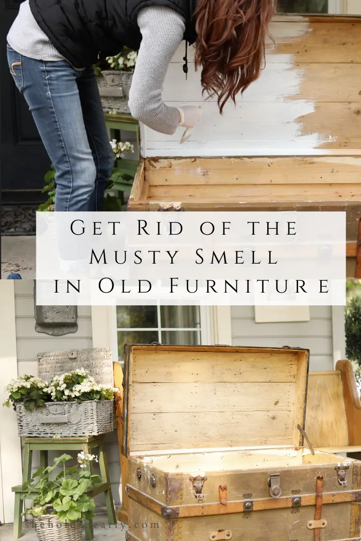 How To Get Old Person Smell Out Of Furniture ...