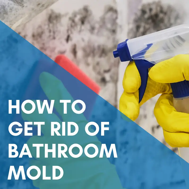 How To Get Rid of Bathroom Mold