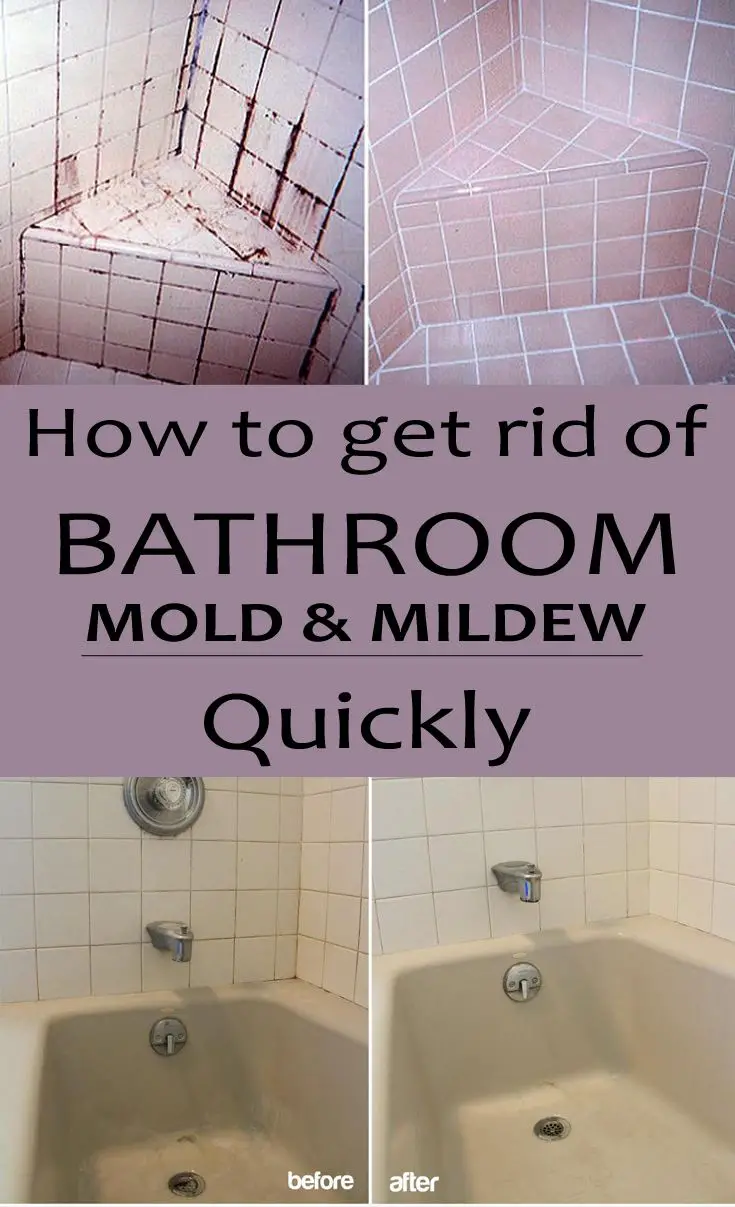 How to get rid of bathroom mold and mildew quickly ...