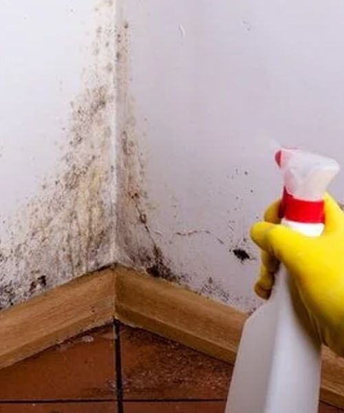 How To Get Rid Of Black Mold Behind Walls