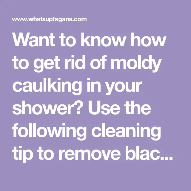 How to Get Rid of Black Mold in Your Shower Caulking