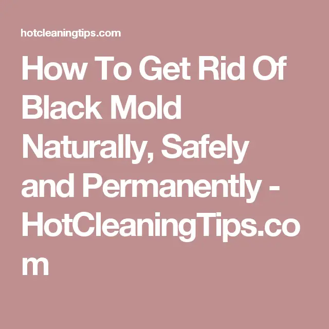 How To Get Rid Of Black Mold Naturally, Safely and Permanently ...