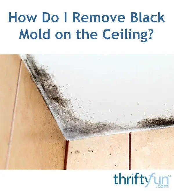How to get rid of black mold on bathroom ceiling