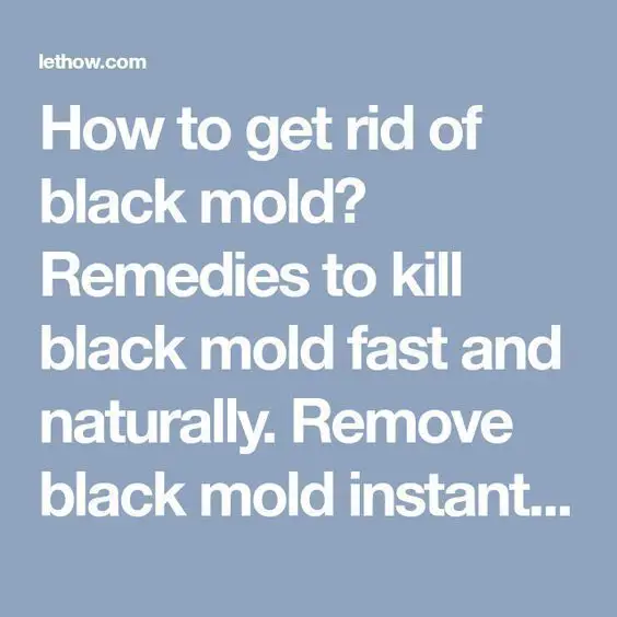 How to get rid of black mold? Remedies to kill black mold fast and ...