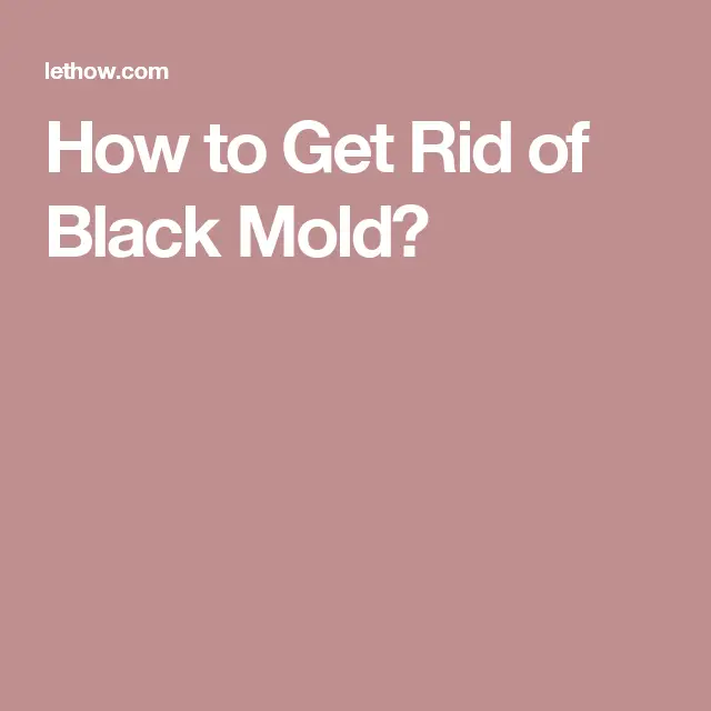 How to Get Rid of Black Mold?