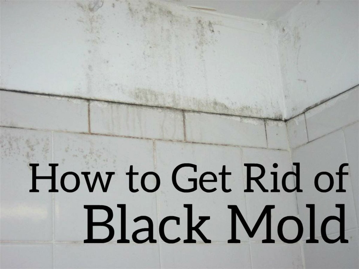 How to Get Rid of Black Mold the Easy and Cheap Way