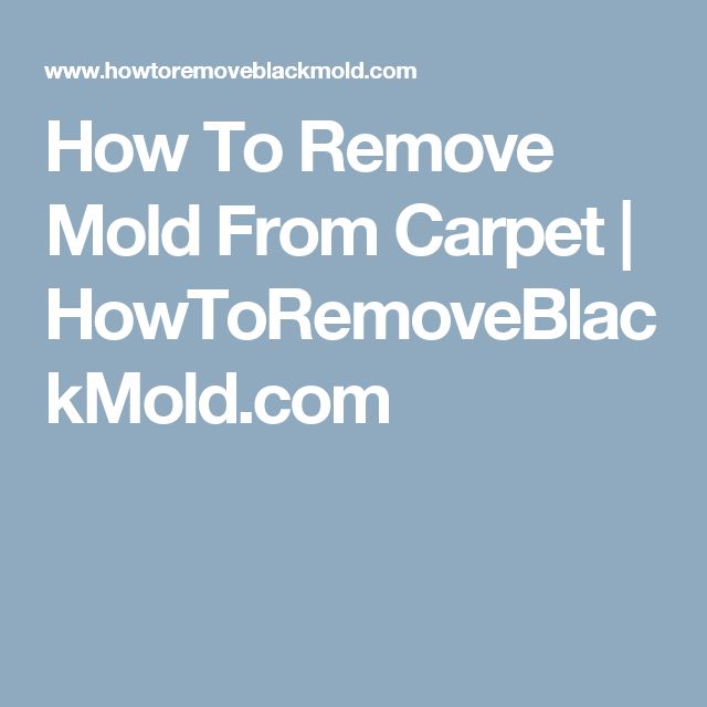 How to Get Rid of Carpet Mold