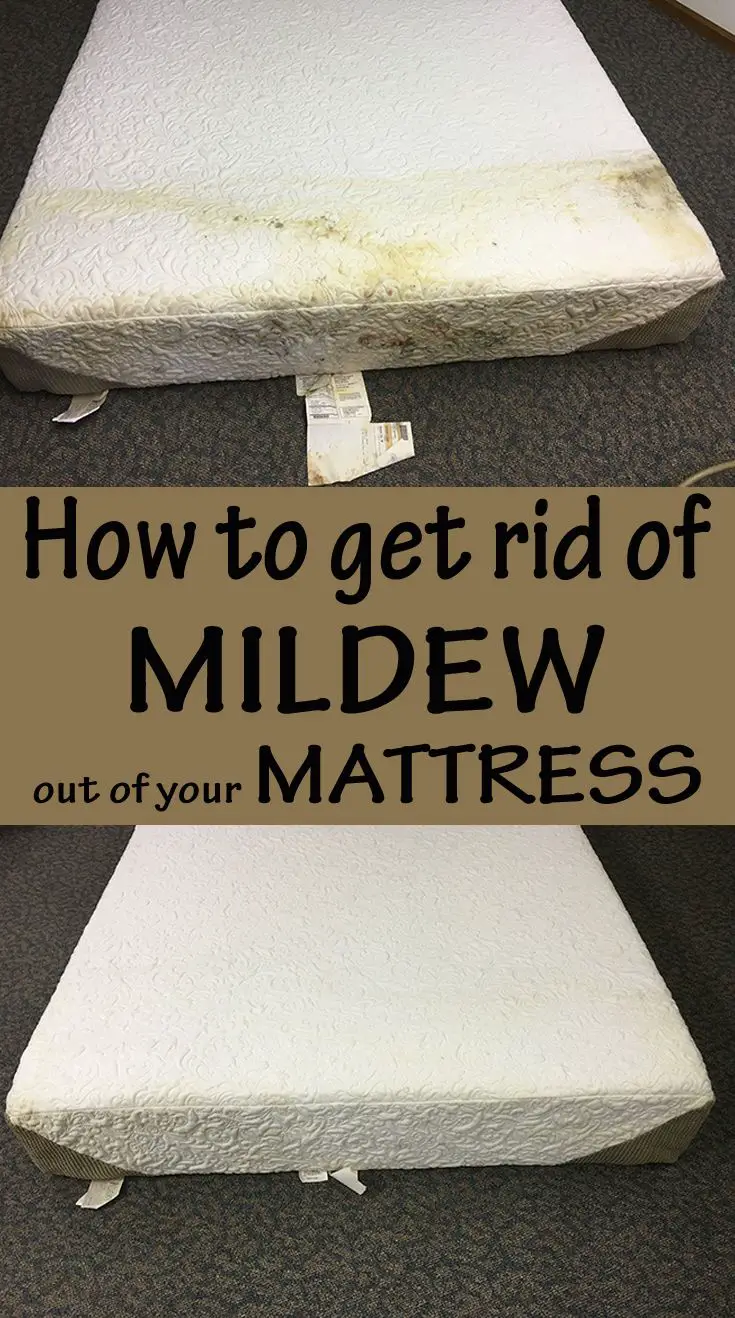 How to get rid of mildew out of your mattress