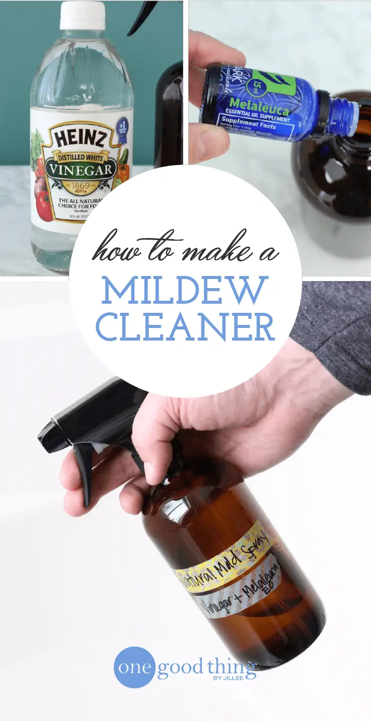 How To Get Rid Of Mold and Mildew Naturally