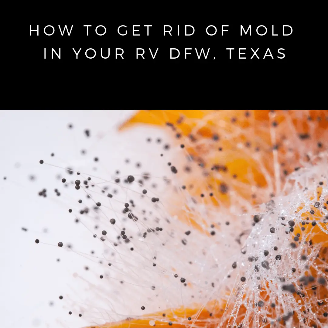 How To Get Rid Of Mold In Camper
