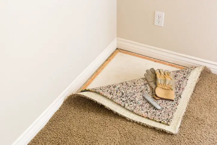 How To Get Rid Of Mold In Carpet