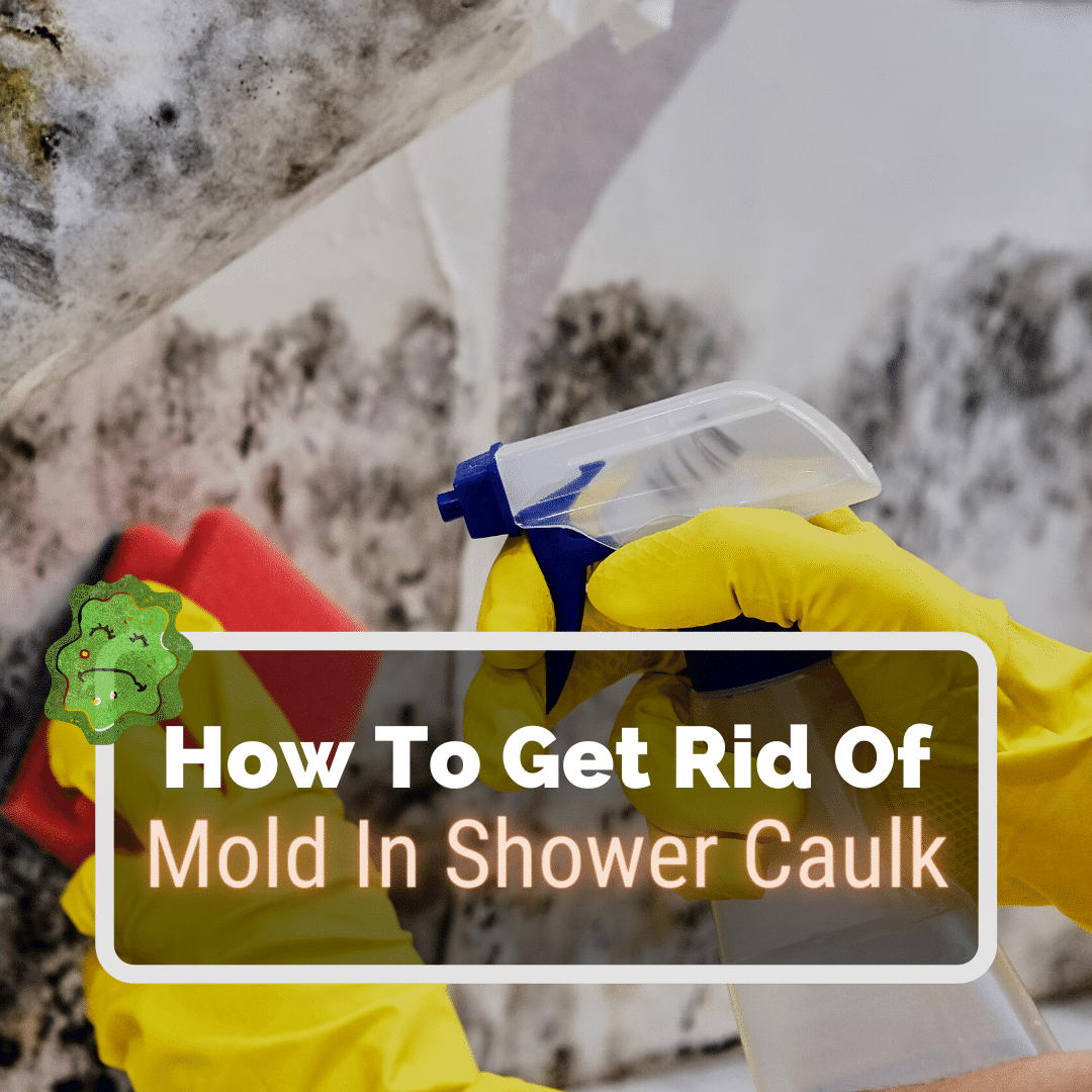 How To Get Rid Of Mold In Shower Caulk