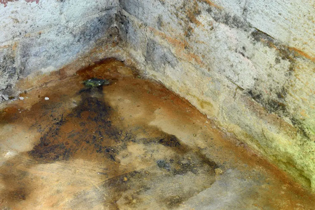 How to Get Rid of Mold in the Basement