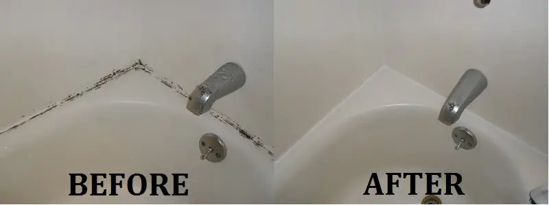 How To Get Rid Of Mold In Your Shower Or Bath