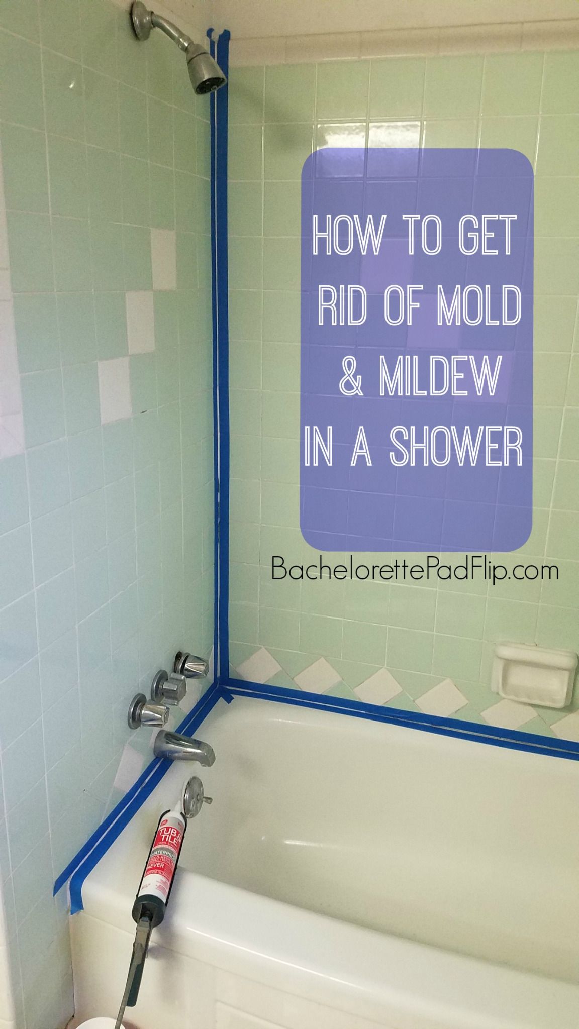 How to Get Rid of Mold &  Mildew In a Shower