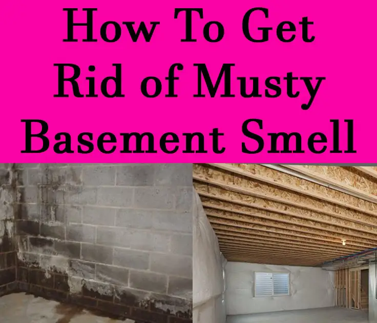 How To Get Rid Of Mold Mildew Smell In House