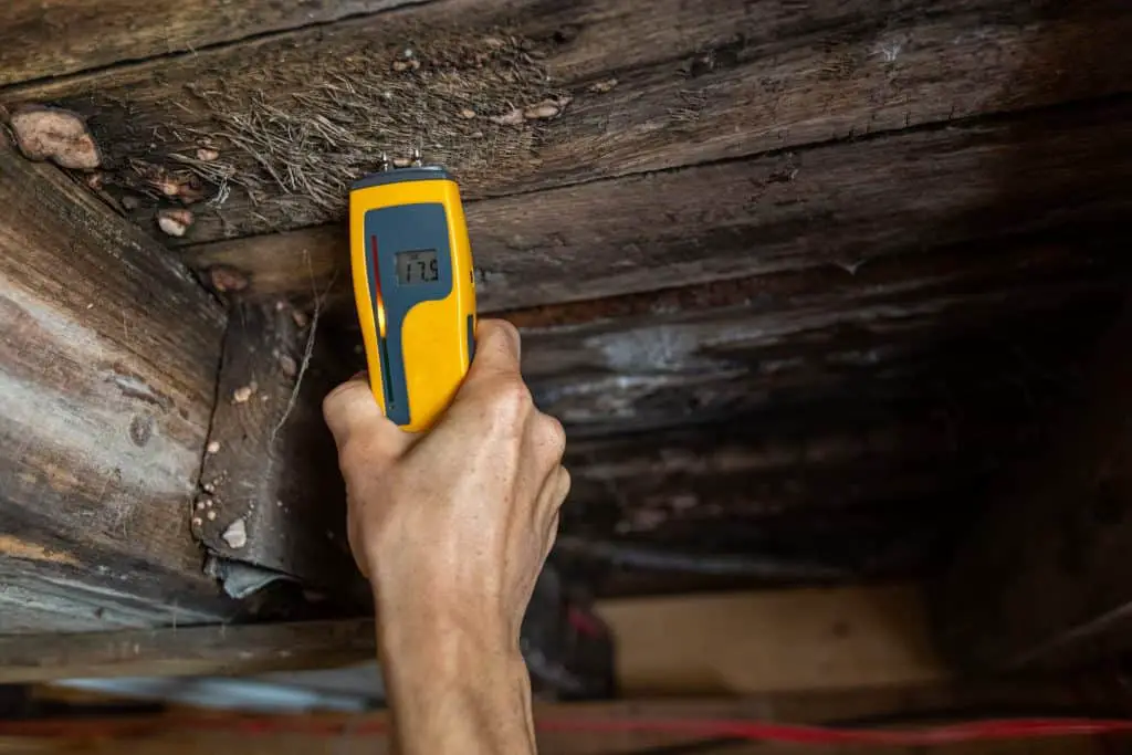 How to Get Rid of Mold on Floor Joists in a Crawl Space  Upgraded Home