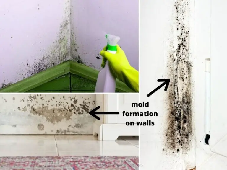 How to Get Rid of Mold On Walls (and How to Prevent Mold Growth)