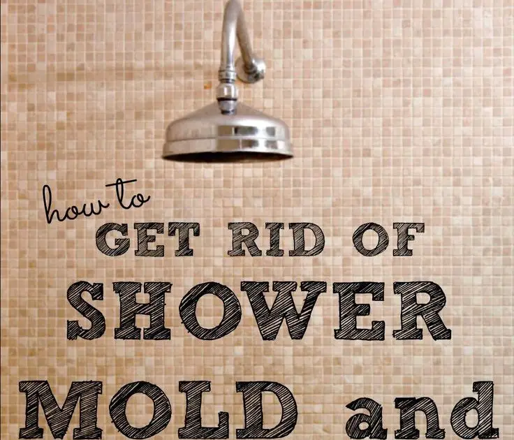 How To Get Rid Of Mold Stains In Shower